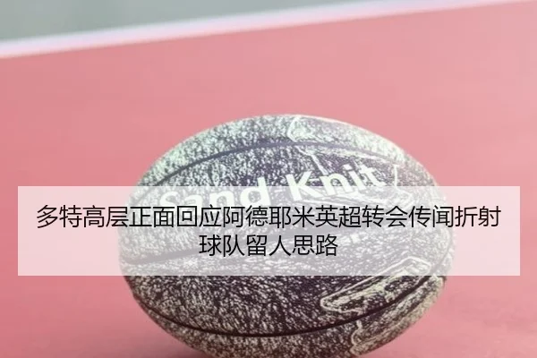 多特高层正面回应阿德耶米英超转会传闻折射球队留人思路