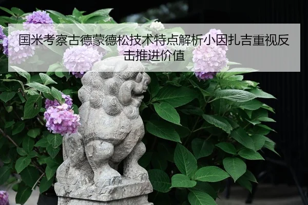 国米考察古德蒙德松技术特点解析小因扎吉重视反击推进价值