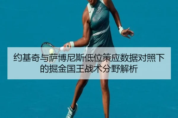 约基奇与萨博尼斯低位策应数据对照下的掘金国王战术分野解析